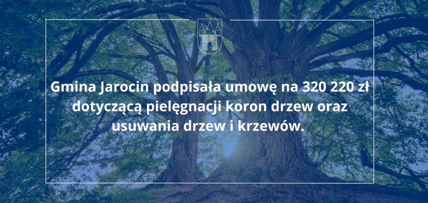 Pielęgnacja drzew w Gminie Jarocin