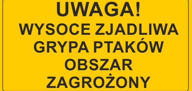 ekranu